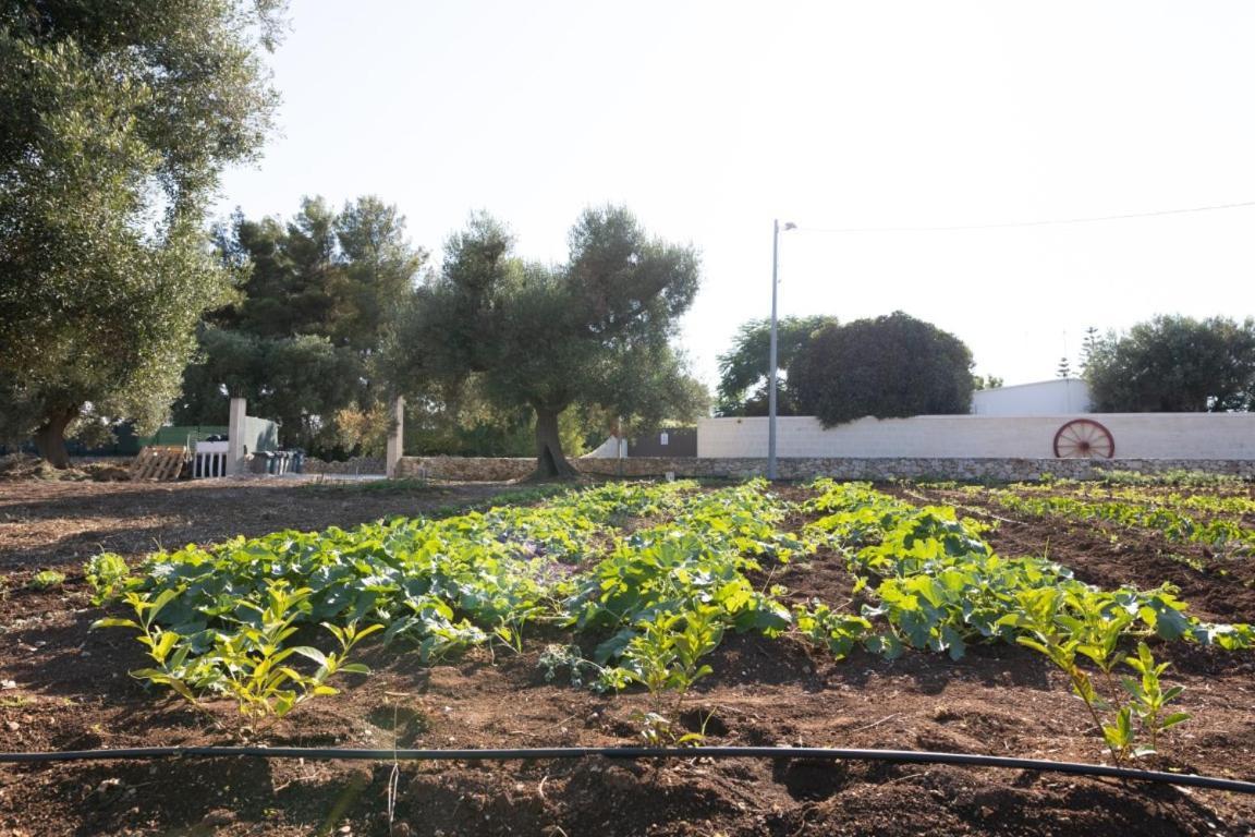 Agrifamily Village San Vito dei Normanni Dış mekan fotoğraf