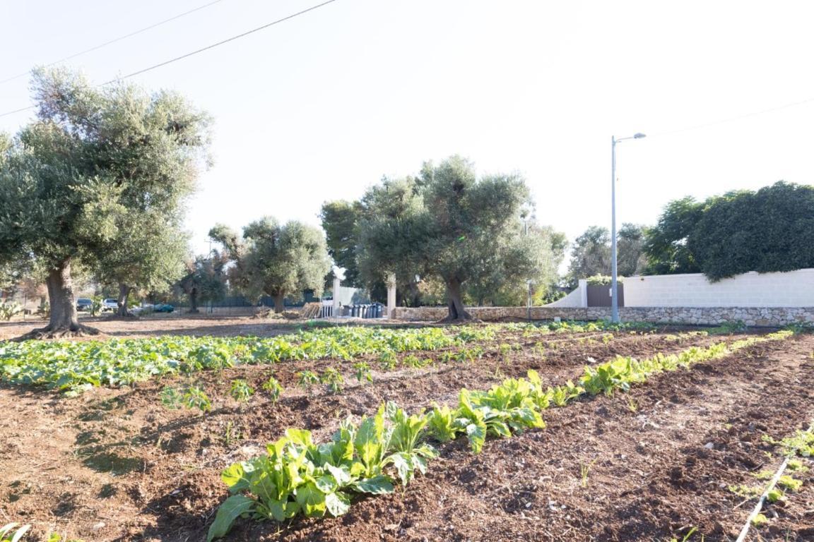 Agrifamily Village San Vito dei Normanni Dış mekan fotoğraf