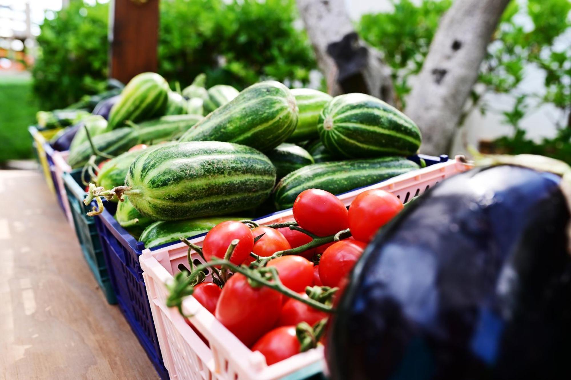 Agrifamily Village San Vito dei Normanni Dış mekan fotoğraf